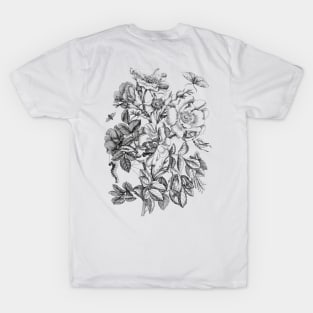 Rose Flower and Butterflies Black & White Vintage Illustration T-Shirt